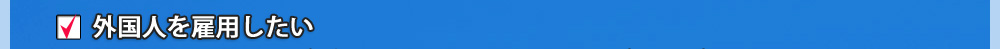 外国人を雇用したい